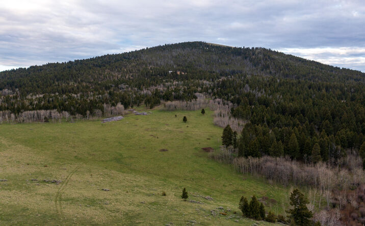 Pictures of Land property located at TBD Upper Deep Creek, Townsend, MT 59644 for sales - image #1