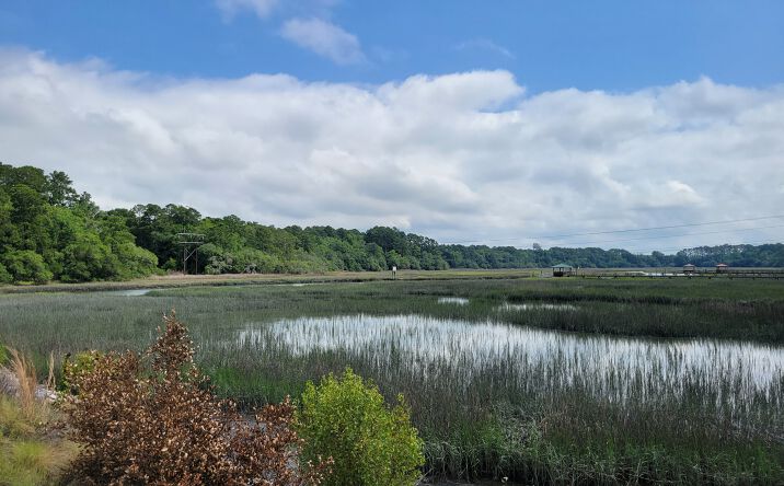 Pictures of Land property located at 3511 Trask Pkwy, Beaufort, SC 29906 for sales - image #1
