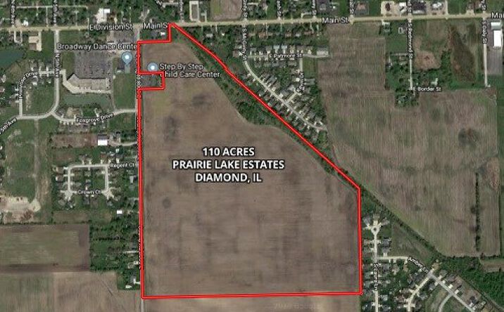 Pictures of Land property located at S Berta Rd, Diamond, IL 60416 for sales - image #1