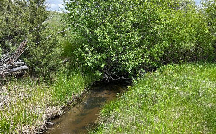 Pictures of Land property located at 7220 Austin Road, Helena, MT 59602 for sales - image #1