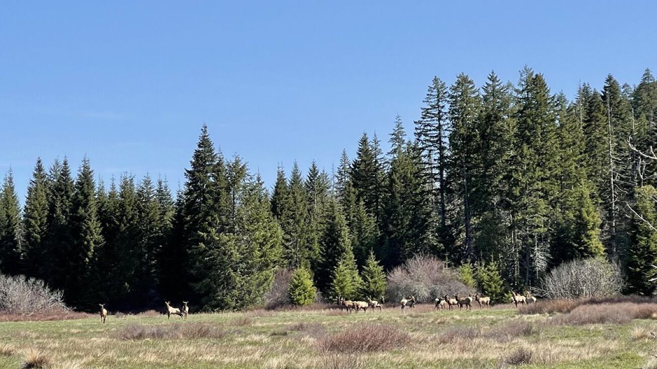 0 Eden Valley, Powers Oregon, Powers, OR 97466