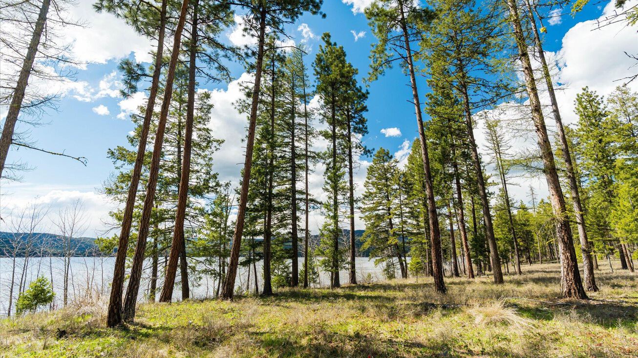 Nhn Camp Tuffit Road, Proctor, MT 59929