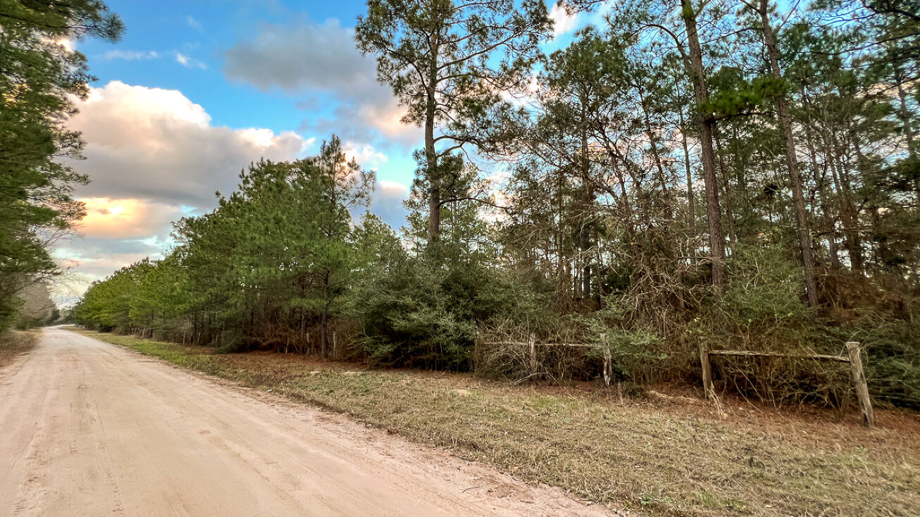 Loma Rd, Bedias, TX 77831 Land for Sale 10 Ac T2 Loma Road