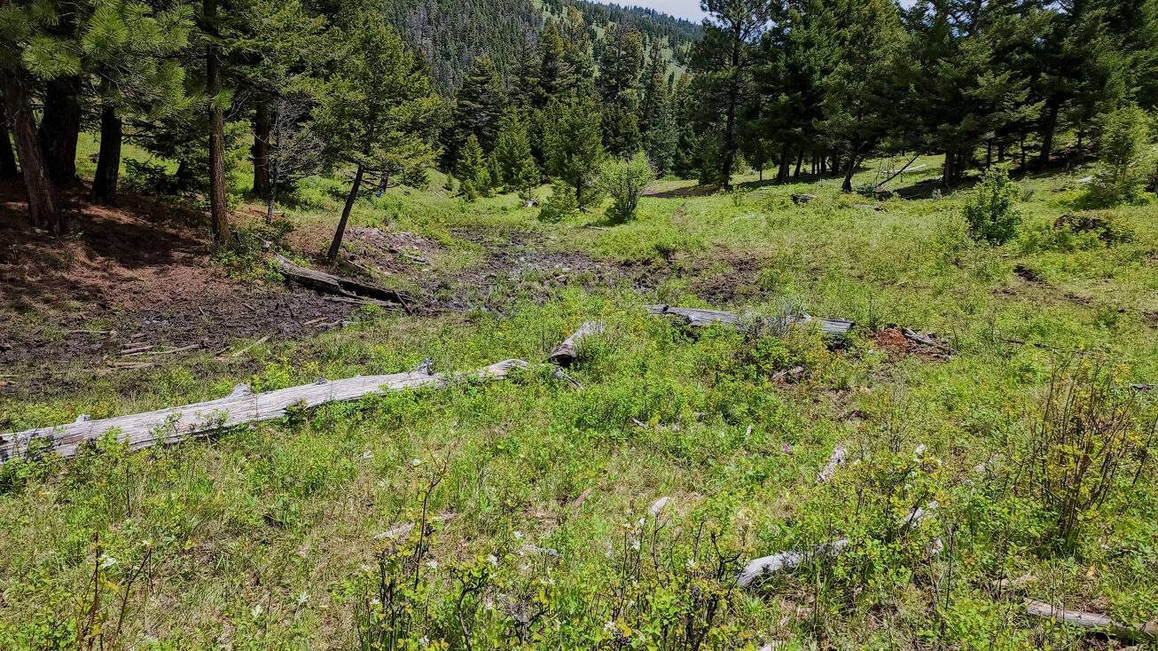 5 Nevada Creek Ranch, Helmville, MT 59843