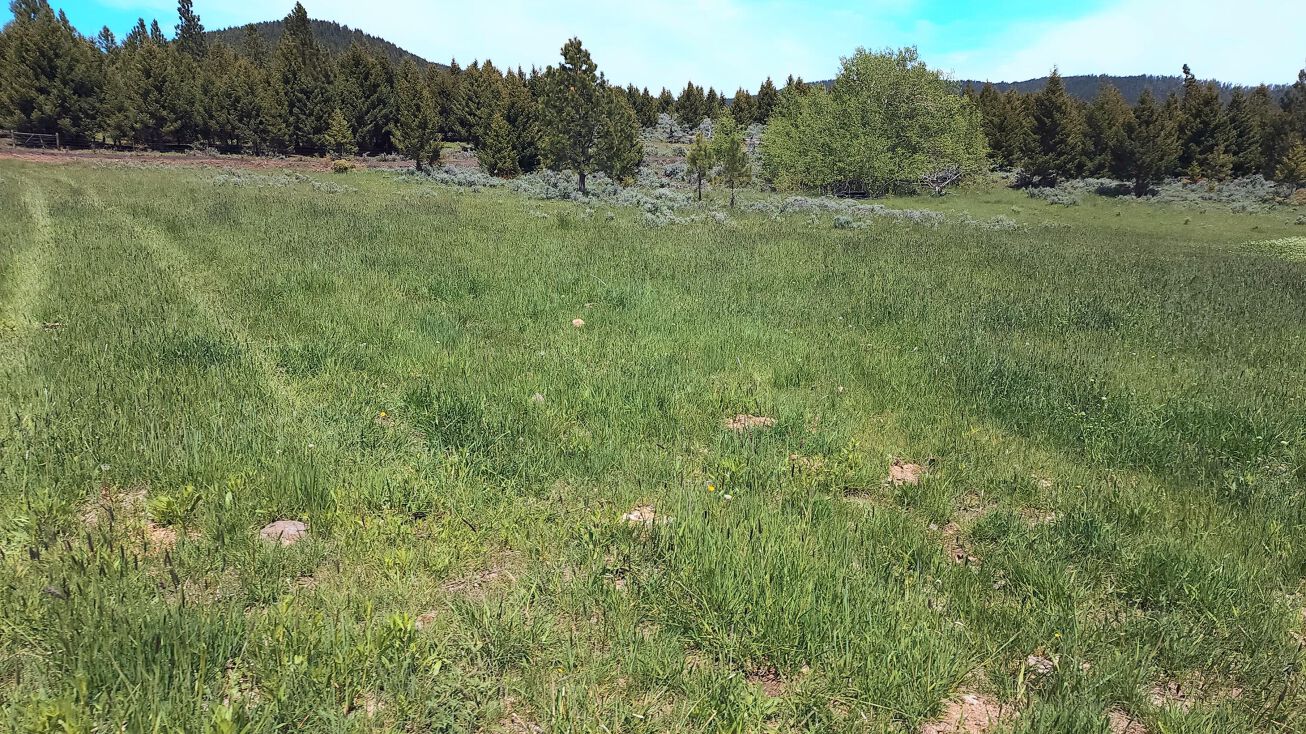8 Nevada Creek Ranch Tract 8, Helmville, MT 59843