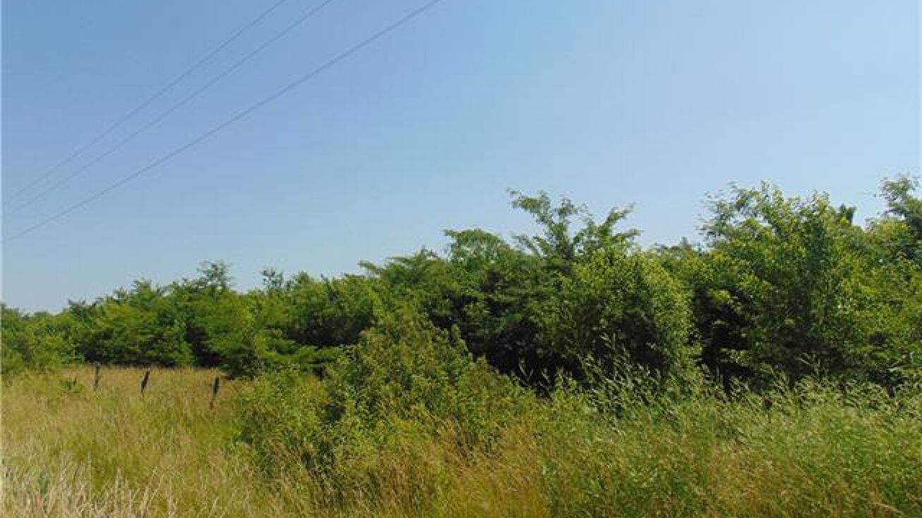 S State RT. C Highway, Peculiar, MO 64078