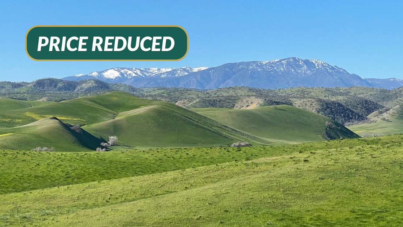 South Side of Hwy 162, Willows, CA 95988