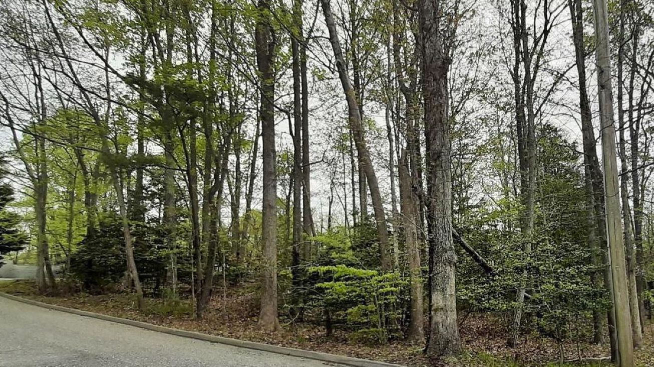 12448 Painted Horse Trail, Lusby, MD 20657 Land for Sale 12448