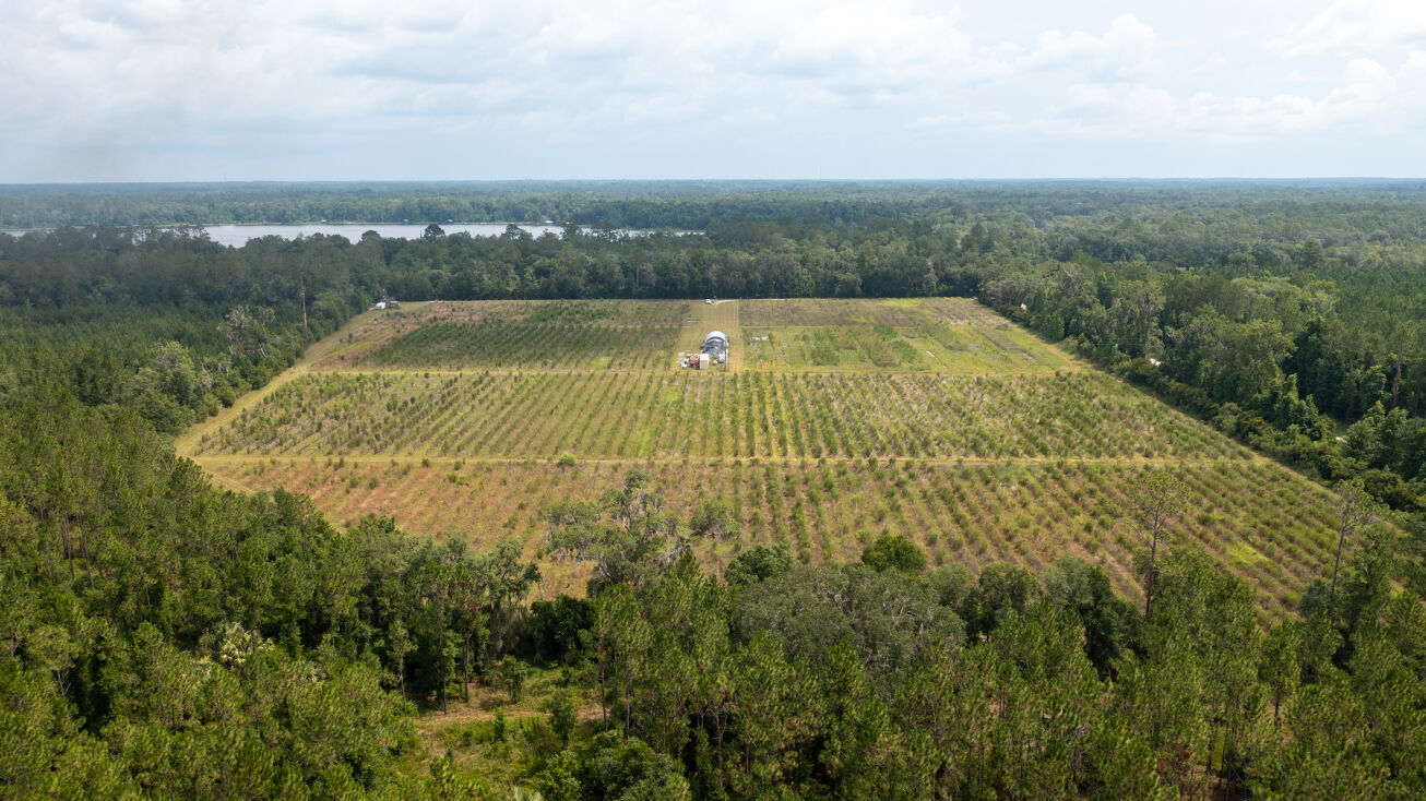 SE 225th Dr, Hawthorne, FL 32640 Land for Sale 23.52 acre former