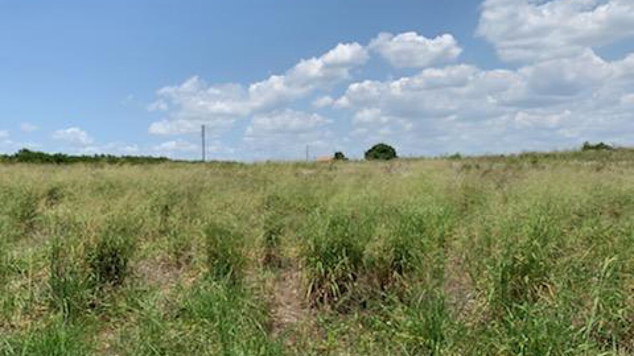 Davis Brothers Rd, frostproof, FL 33843