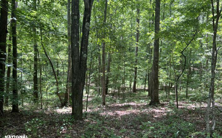 0 Argo Margaret Rd, Trussville, AL 35120 - Land for Sale - Argo ...