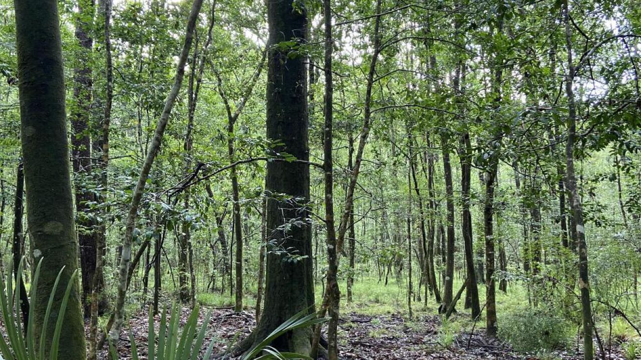 0 Tilley Landing Road, Ponce De Leon, FL 32455 Land for Sale