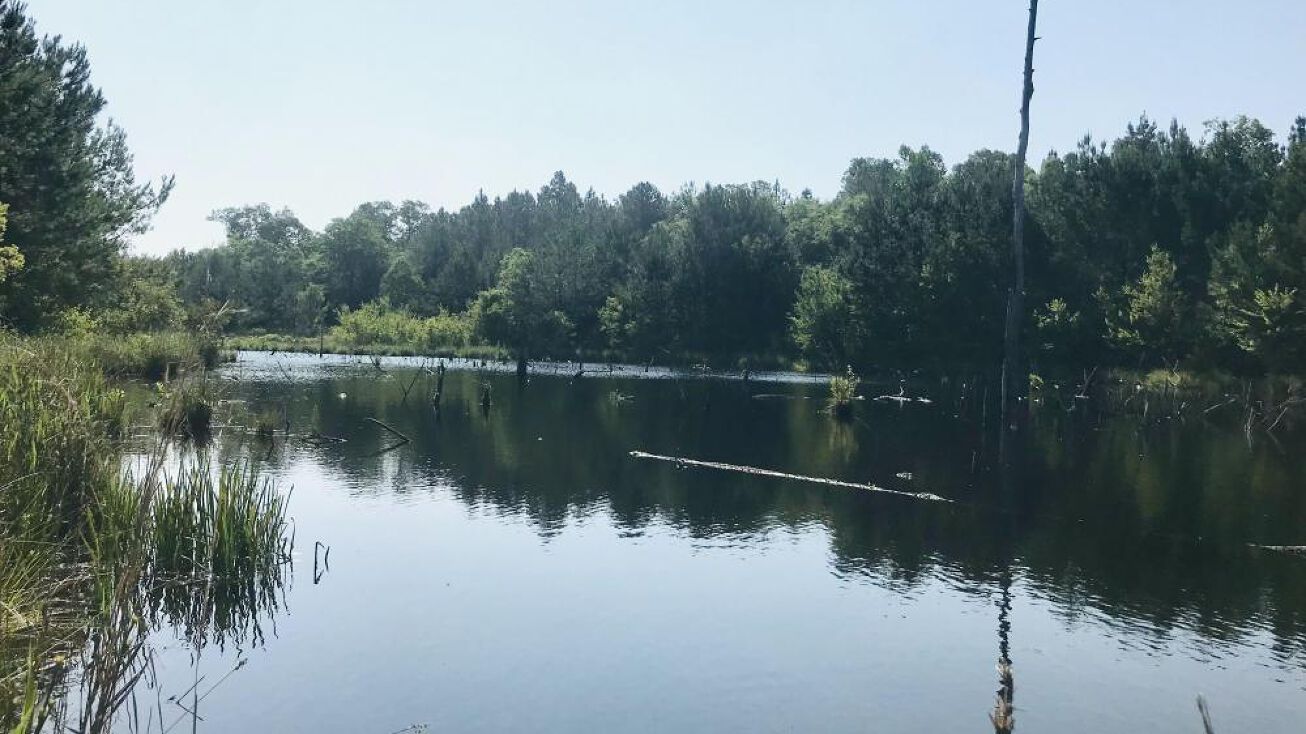 244 Desert Dr, Mauk, GA 31053 Land for Sale Hunting Camp with Pond