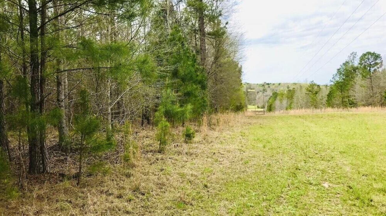 0 Oochee Bottom Road, Buena Vista, GA 31803 Mixed Use Property for