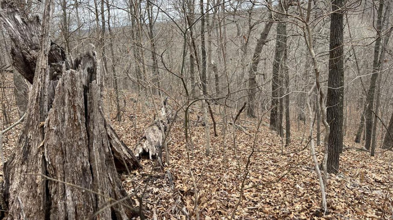 Adkins Rd, Climax Springs, MO 65324