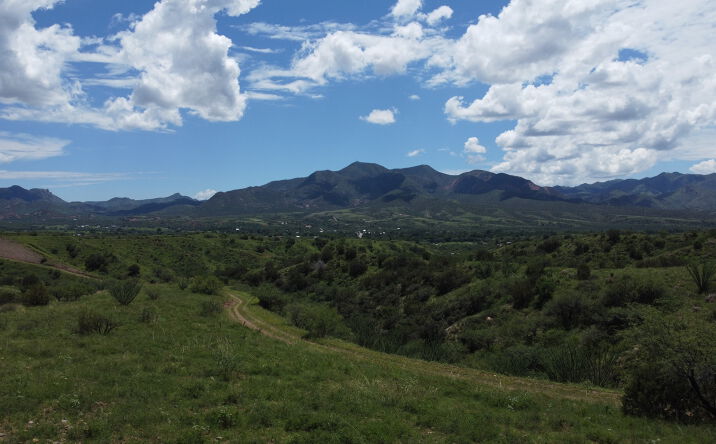 Pictures of Land property located at 0 Temporal Canyon Rd, Patagonia, AZ 85624 for sales - image #1