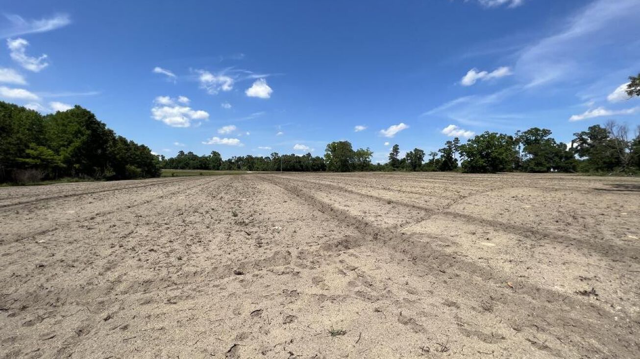 0 Hwy 84 East, Gordon, AL 36343