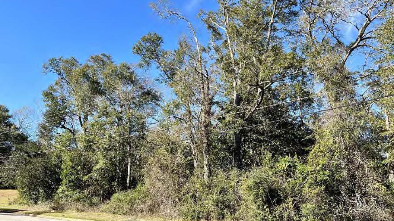 7940 Lebaron Ave, Citronelle, AL 36522