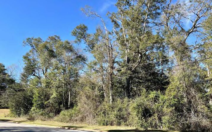 Pictures of Multifamily, Mixed Use, Land property located at 7940 Lebaron Ave, Citronelle, AL 36522 for sales - image #1