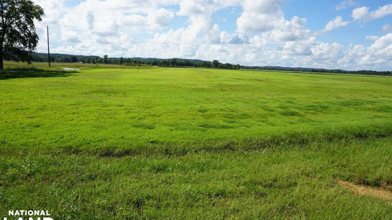 0 Black Warrior Rd, Tuscaloosa, AL 35401