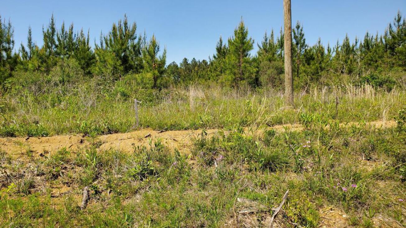 0 Mt. Helm Road, Brandon, MS 39047