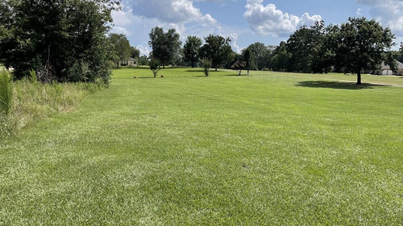 Club Dr, Collins, MS 39428 Land for Sale Oak Hills Subdivision Lot 9