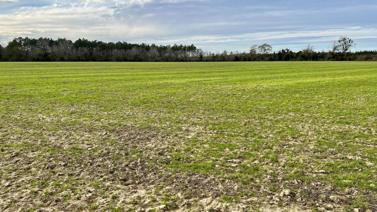 0 County Road 49, Loxley, AL 36551