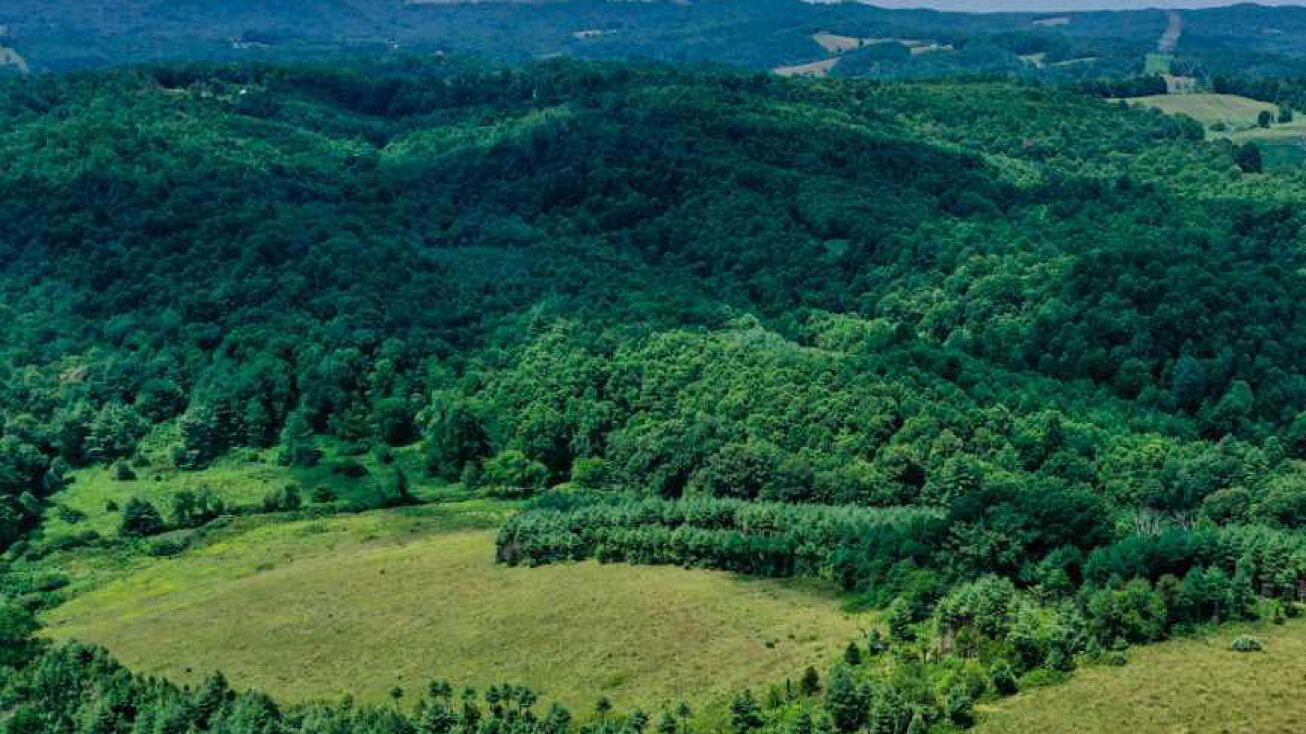 582 Falling Branch Rd NW, Floyd, VA 24091 Land for Sale Floyd