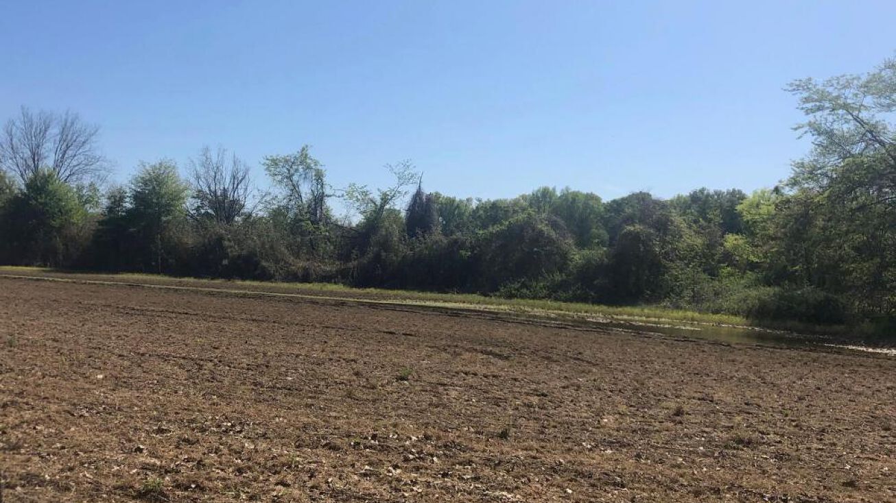 Milestone Rd, Tchula, MS 39169 Land for Sale Delta Farmland