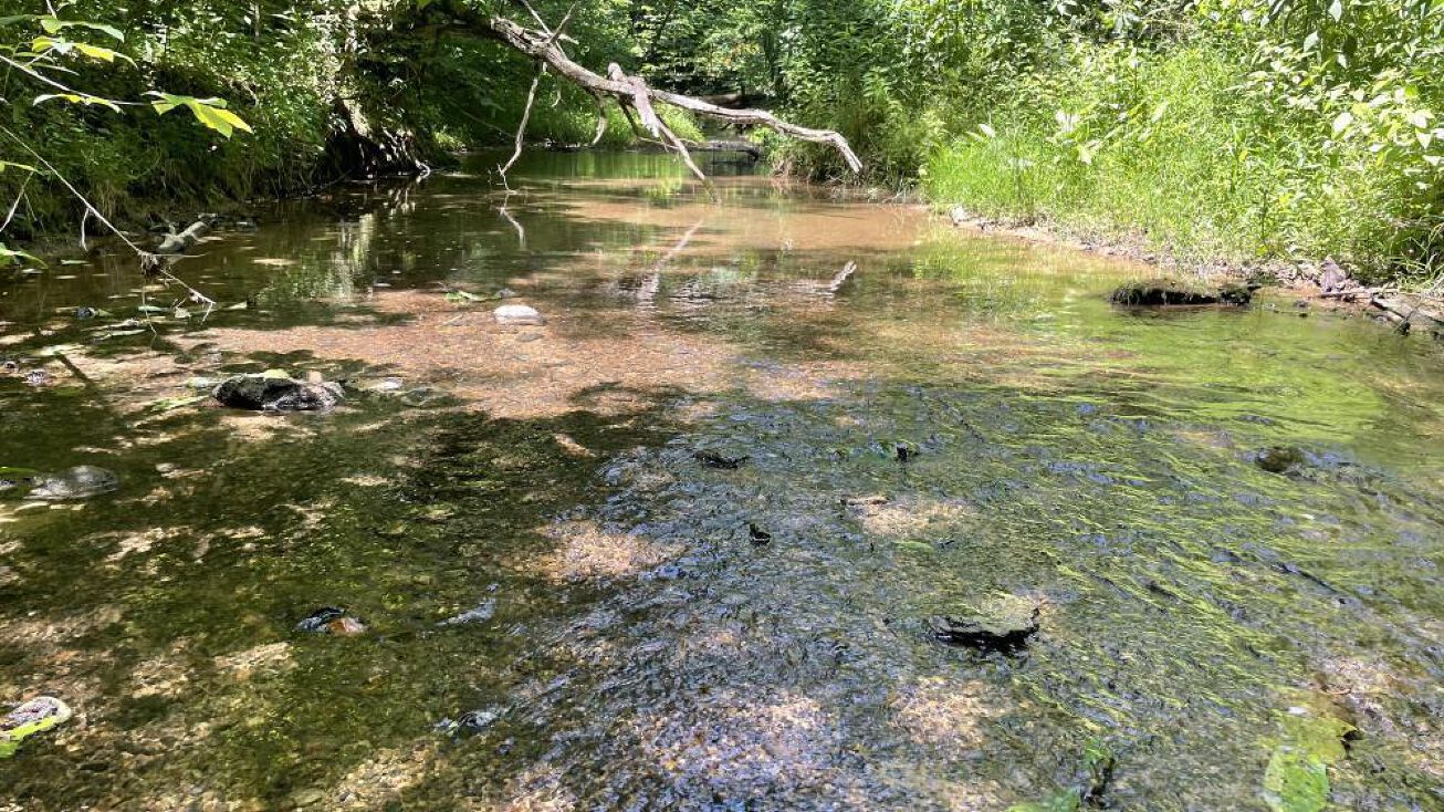 0 HWY 57 E, Michie, TN 38357 Land for Sale 31 Acres Near Pickwick