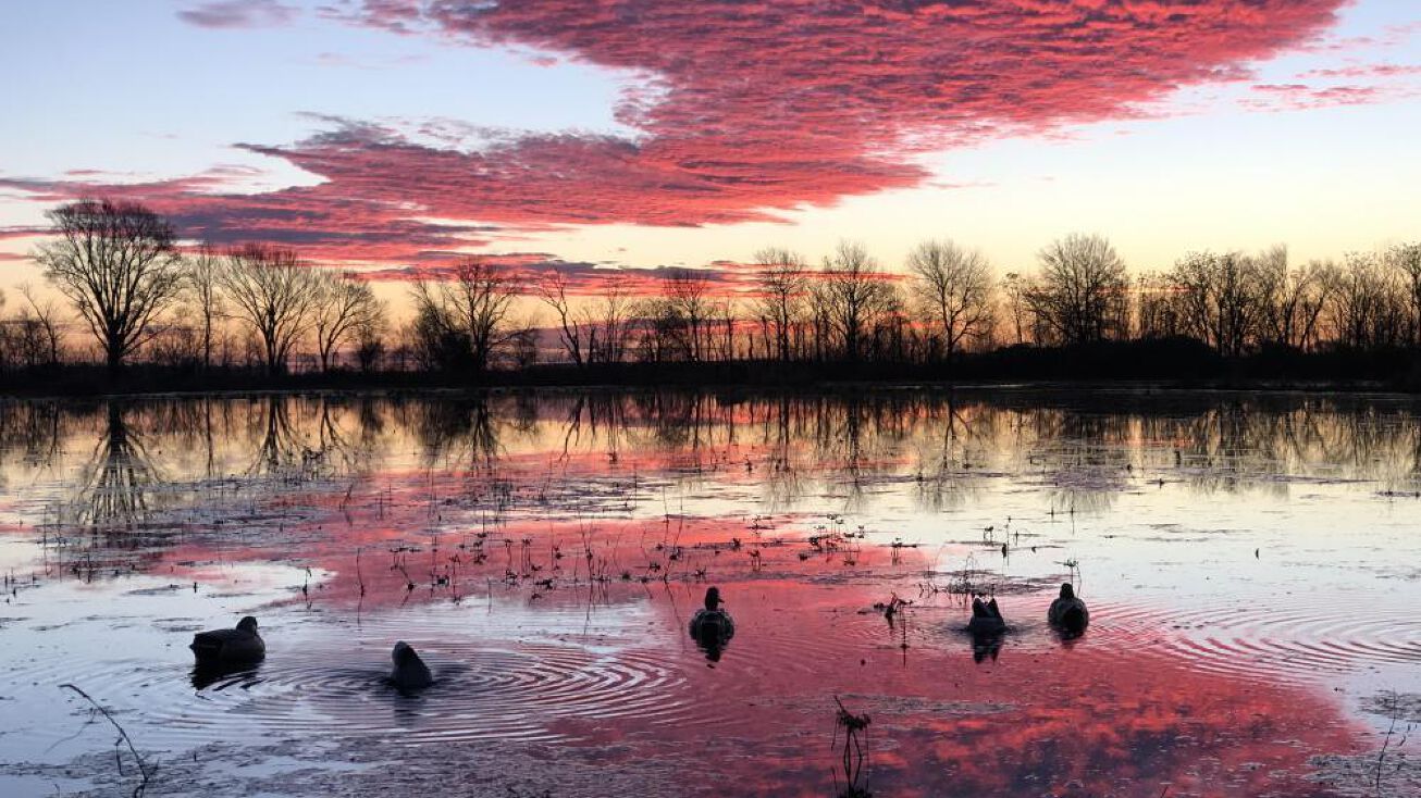 Catfish Rd Isola, MS, Isola, MS 38754