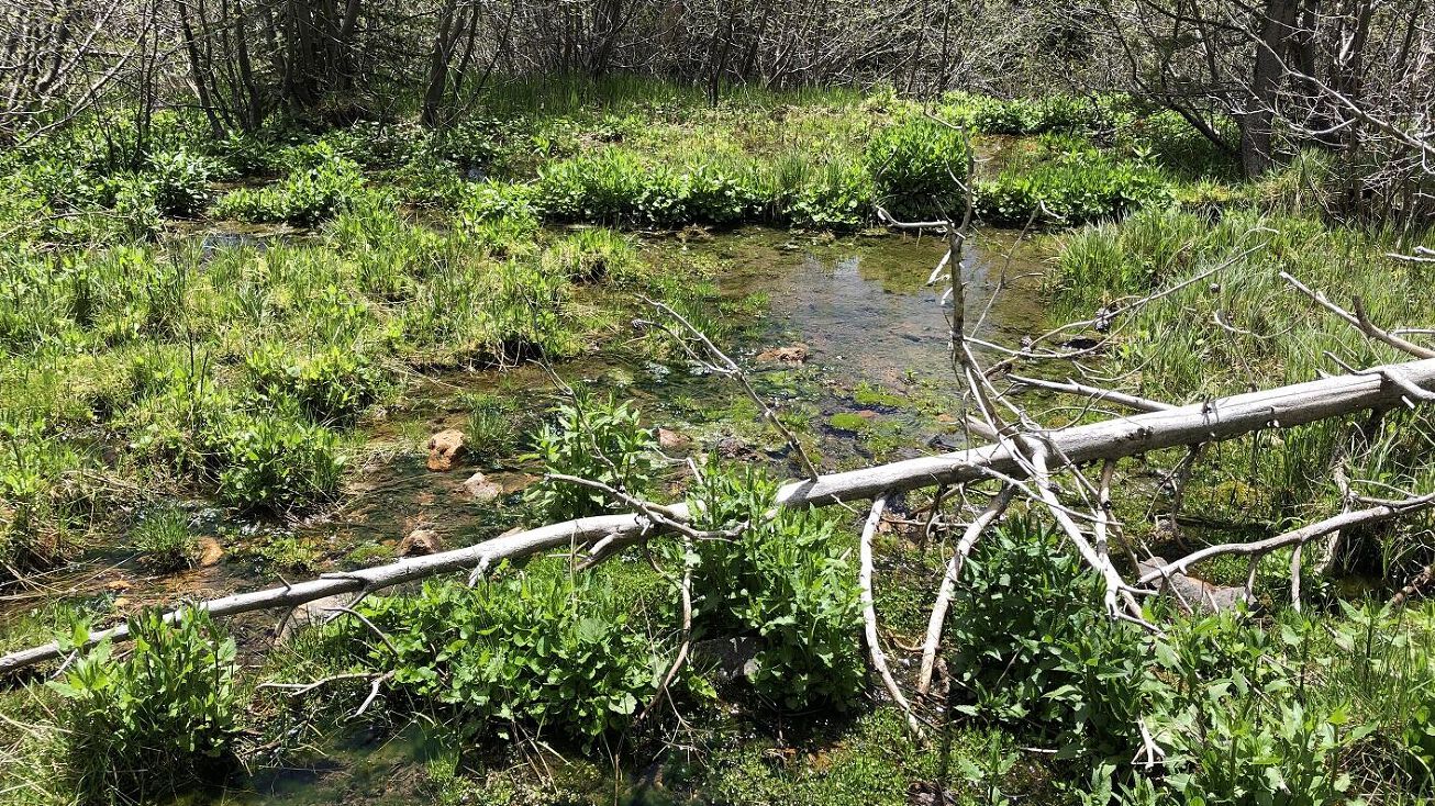 57a Boulder Chief, Boulder, MT 59632