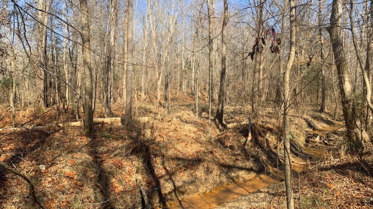 00 Old Calhoun Falls Road, Abbeville, SC 29620 Land for Sale