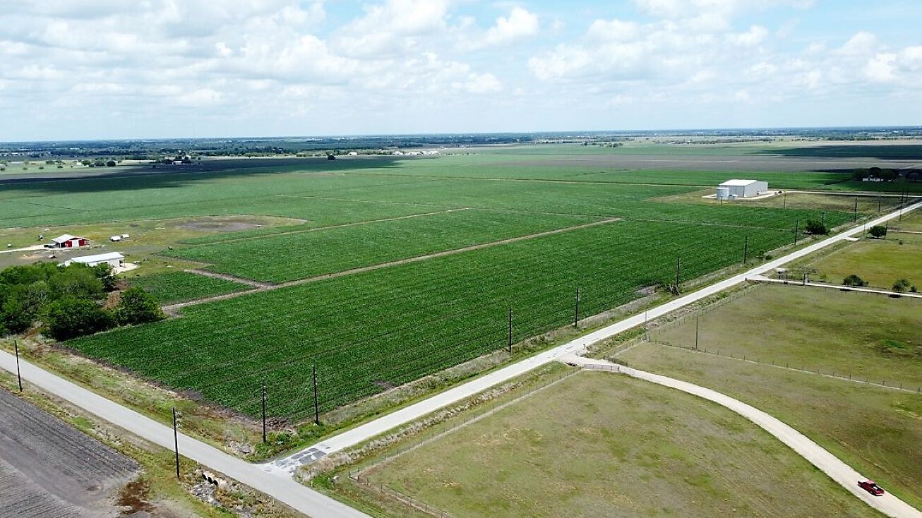 1519 Bushnell Rd, Needville, TX 77461