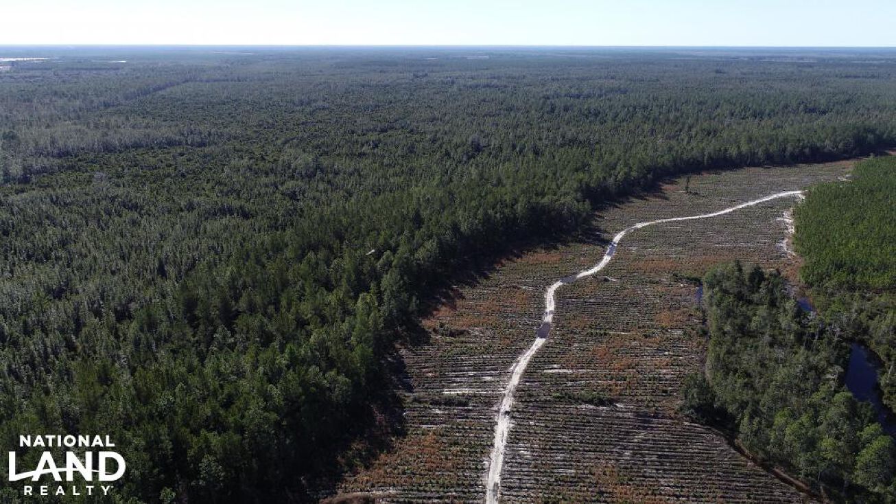 0 Winokur Rock Rd, Folkston, GA 31537