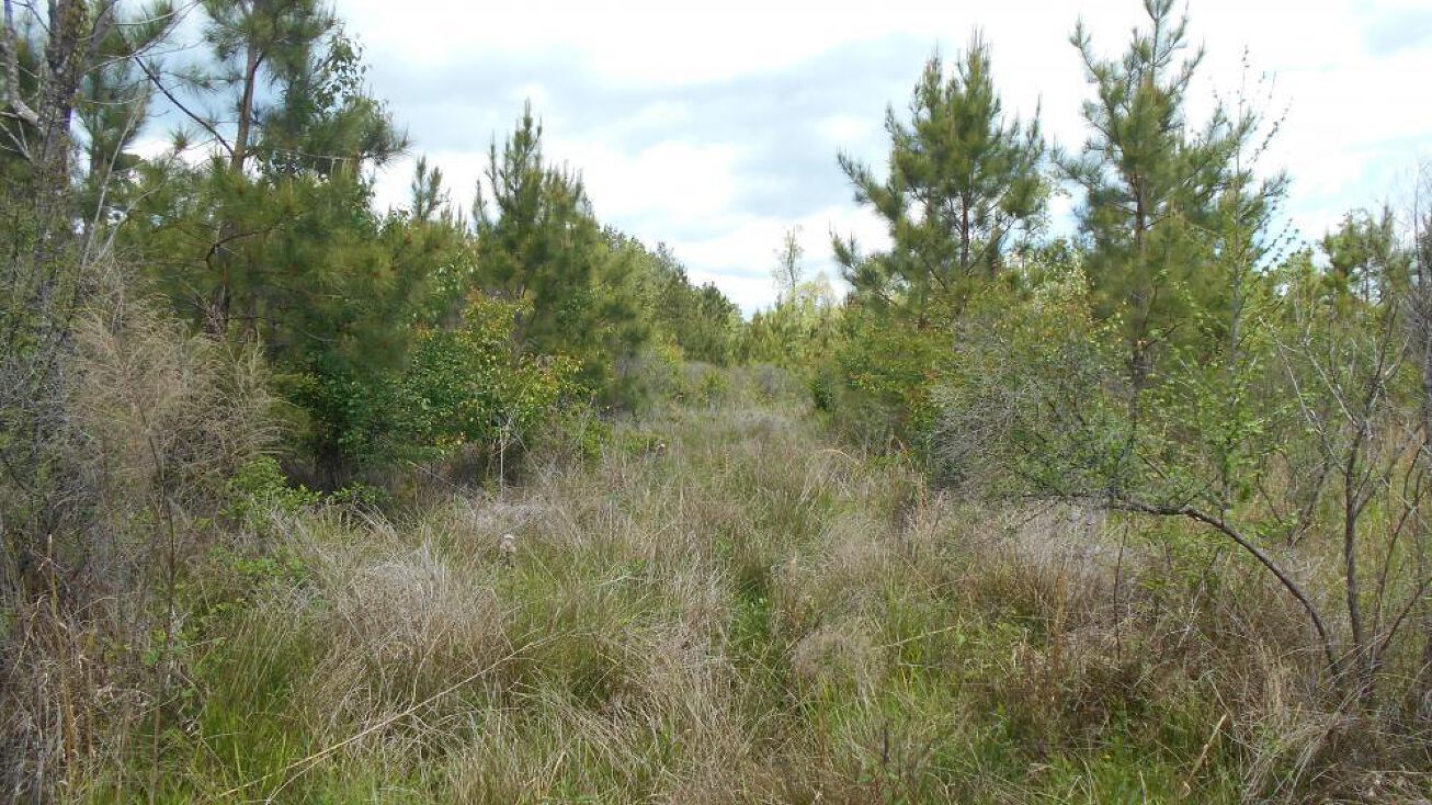 0 Wilmar Tram Rd, Monticello, AR 71655