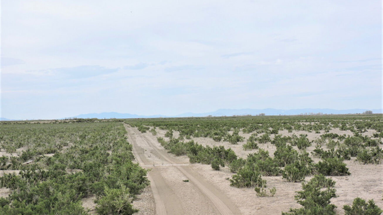 2750 S 6750 W, Hinckley, UT 84635