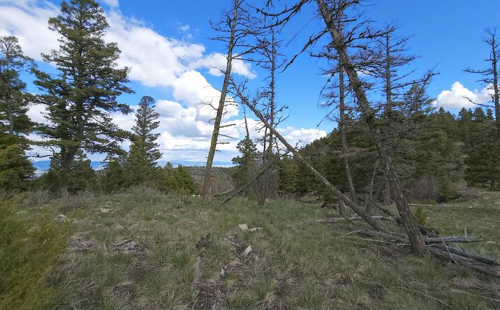 Pictures of Land property located at 11 Tract, Drummond, MT 59832 for sales - image #1