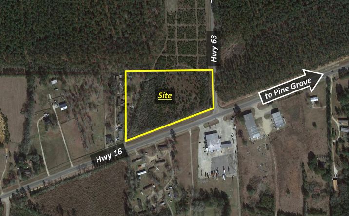 Pictures of Land property located at Hwy 16, Pine Grove, LA 70453 for sales - image #1