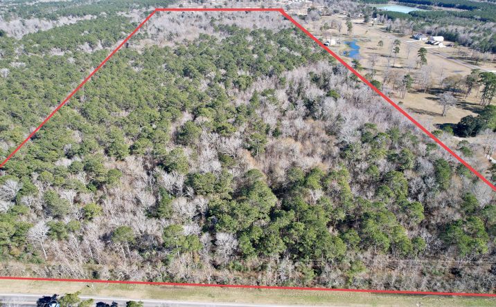 Pictures of Land property located at TBD TX-61, Hankamer, TX 77560 for sales - image #1