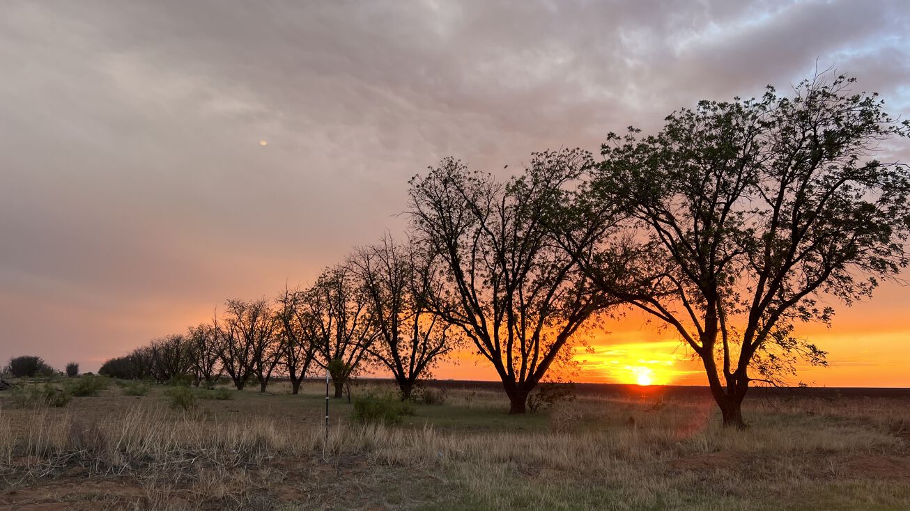 0000 FM 829, Lamesa, TX 79331 Land for Sale 0000 FM 829, LAMESA, TX