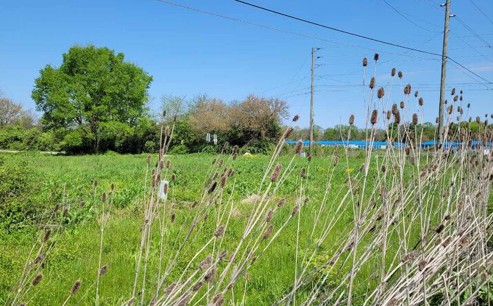 Pictures of Land property located at 6100 Mann Rd, Indianapolis, IN 46221 for sales - image #1