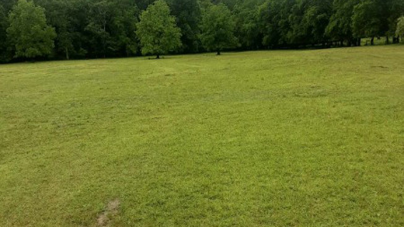 Strain Rd, Cohutta, GA 30710