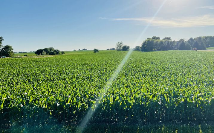 Pictures of Land property located at 00 E 8th Road, Utica, IL 61373 for sales - image #1