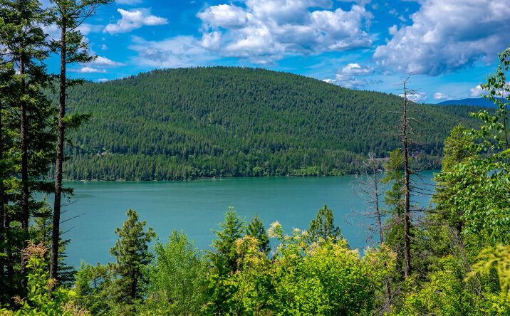 Pictures of Land property located at 362 Mule Deer Trail, Whitefish, MT 59937 for sales - image #1