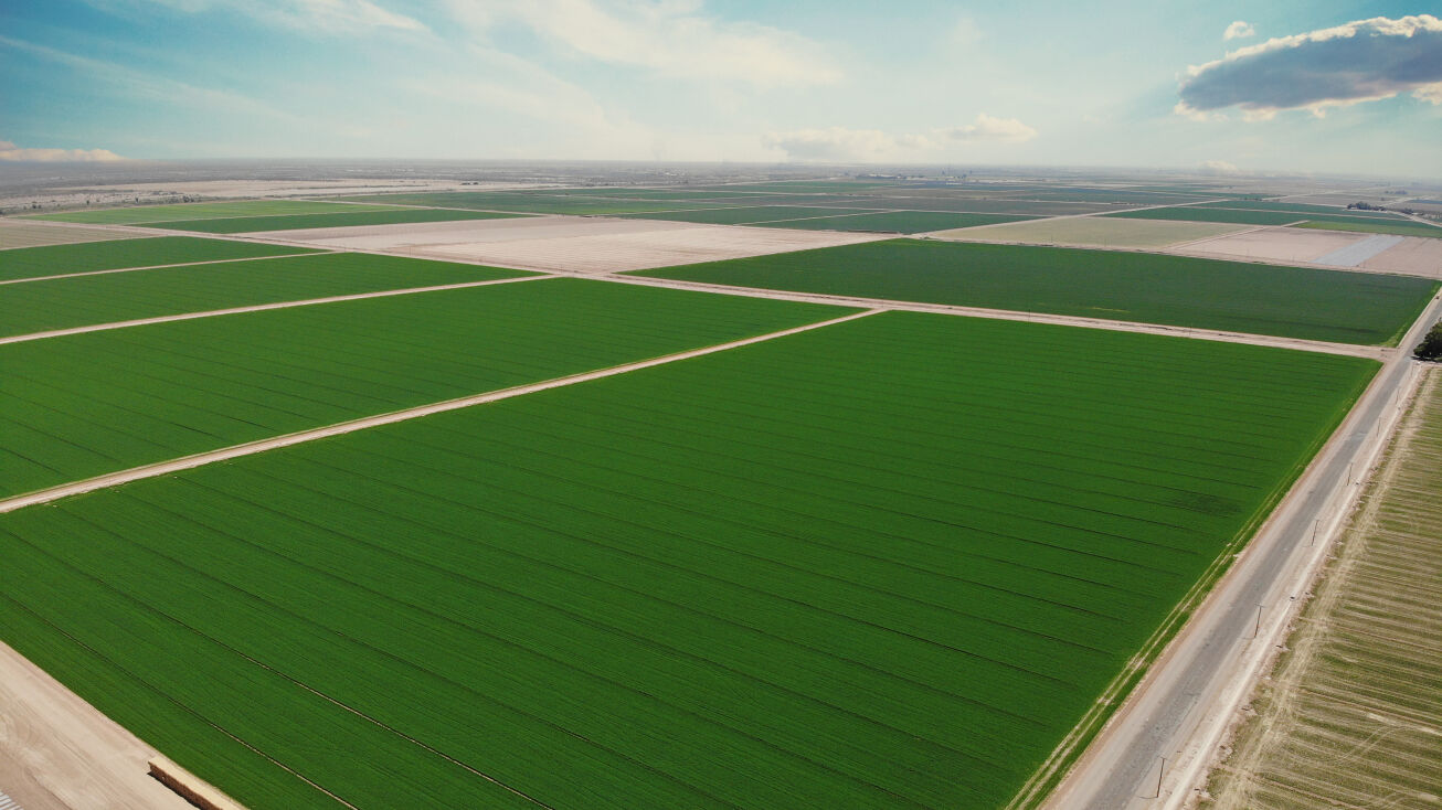 Snyder Rd, Holtville, CA 92250