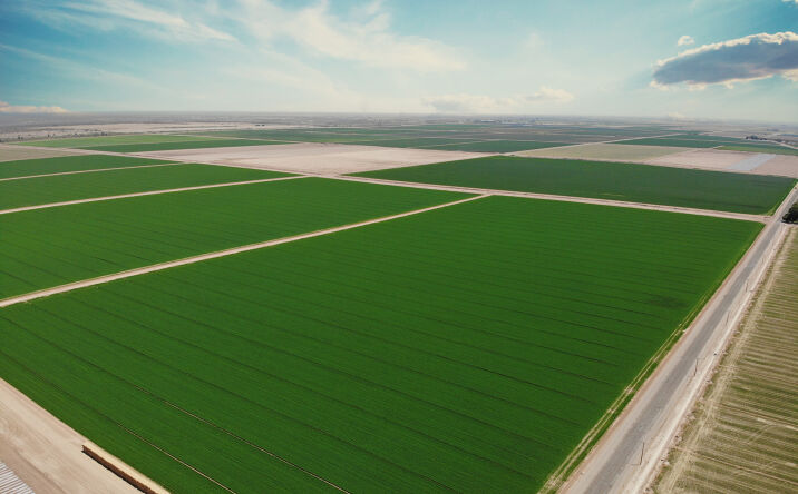 Pictures of Land property located at Snyder Rd, Holtville, CA 92250 for comps - image #1