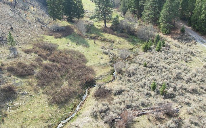 Pictures of Land property located at 1, Drummond, MT 59832 for sales - image #1