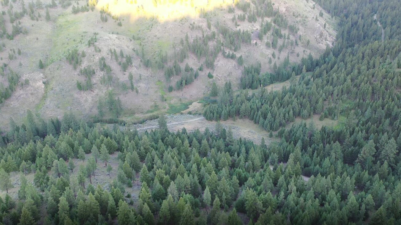 2 Tract, Drummond, MT 59832