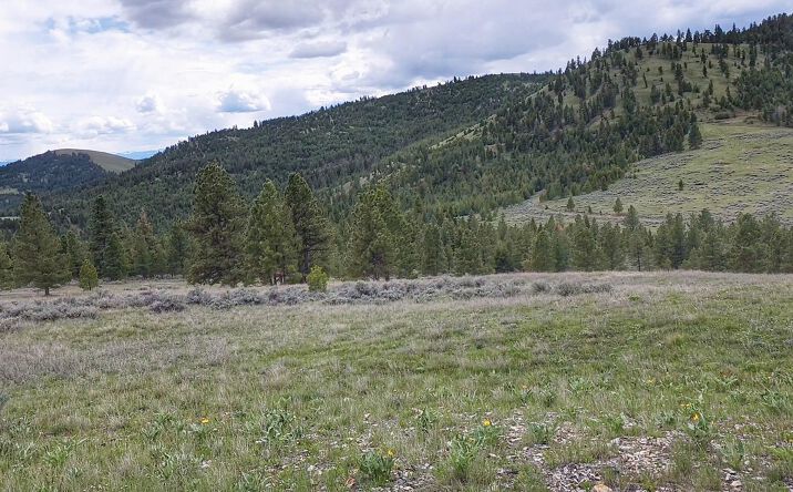 Pictures of Land property located at 3 Tract, Drummond, MT 59832 for sales - image #1